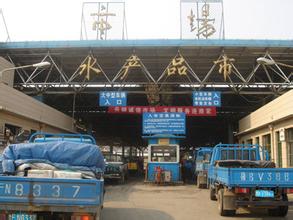 广州水产品中心批发市场