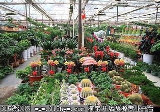 湖北省武汉元宝山花卉市场