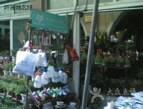 上海五角场花鸟市场