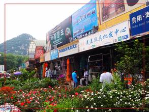 上海鑫桥花鸟市场
