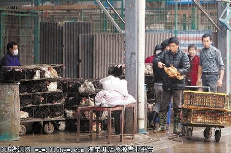 上海市三官堂禽蛋批发市场