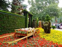 上海杨浦公园花卉市场